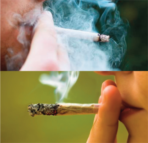 cigarette and marijuana smoking
