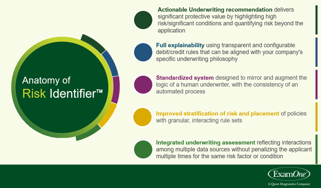 The anatomy of Risk Identifier